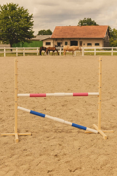Keppihevosen este 160cm kahdella tangolla - Pink and blue