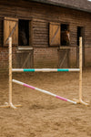 Super Hobby Horse - Hobby Horse -este 160 cm, k-120 cm, kahdella puomilla, mintunvihreä ja vaaleanpunainen