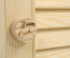 Super Hobby Horse - Suuri yksittäinen Hobby Horse -talli ovella