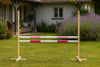 Super Hobby Horse - Hobby Horse -estetolppa 160 cm, k-120 cm, kahdella puomilla, vaaleanpunainen ja pinkki