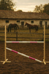 Super Hobby Horse - Hobby Horse -estetolppa 160 cm, k-120 cm, kahdella puomilla, vaaleanpunainen ja pinkki