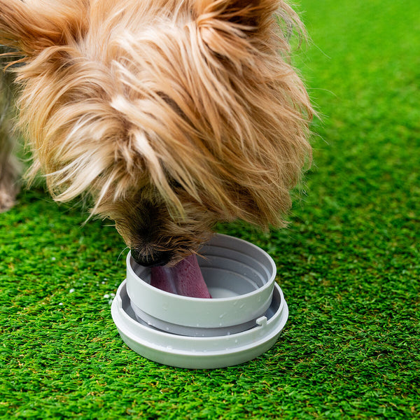 Monitoiminen 6-in-1 koiran talutushihna LED-valolla