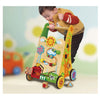 Viga 59460 Activity Baby Walker